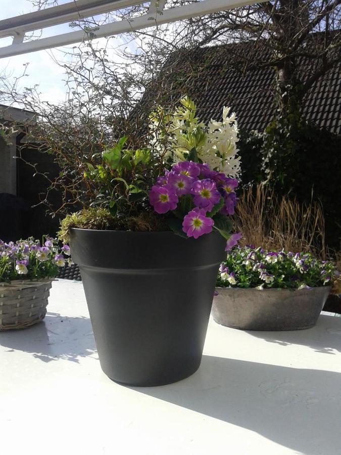 Casa Batavia B&B Lelystad Zewnętrze zdjęcie